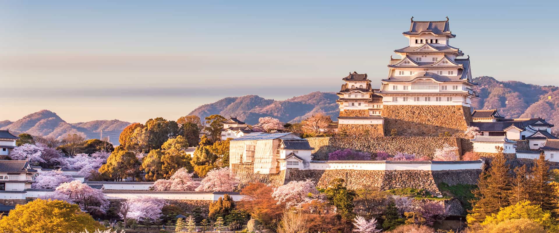 Japan business listing 2019